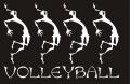 volleydance.jpg