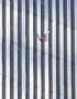 wtc56.jpg
